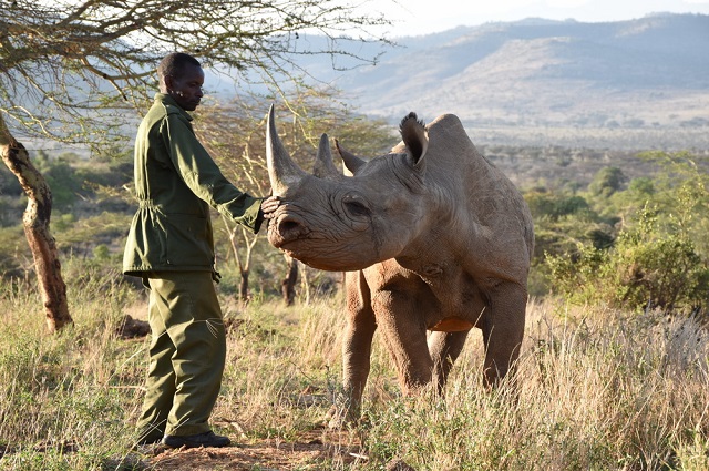 Rhino Watching in Uganda
