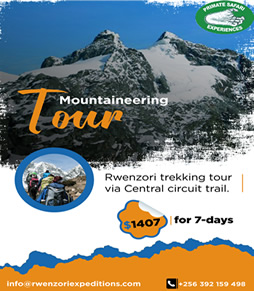 Rwenzori Trekking 7 Days
