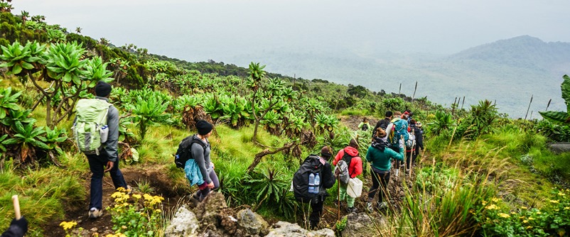 Hiking mount Nyiragongo